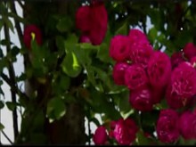 Bangla Sex Story & Vert; Historia motivacional y vert; Nueva historia emocional y vert; Bangla Romantic Sex Story Parte 2