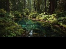 Juego de roles de audio: Stalker te devasta en el bosque [M4F] [Audio para mujeres]