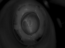 Papá que habla sucio dispara una carga de 14 días dentro de su bebita