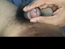 HORNYDARLINN alimenta la demanda de pollas crudas
