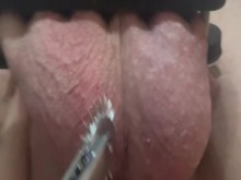 Dientes de tiburón en bolas de mejores amigas